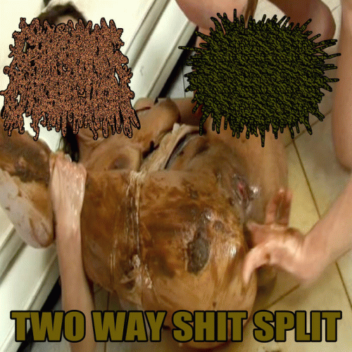 Coprophilic Dissection : 2​-​Way Shit Split